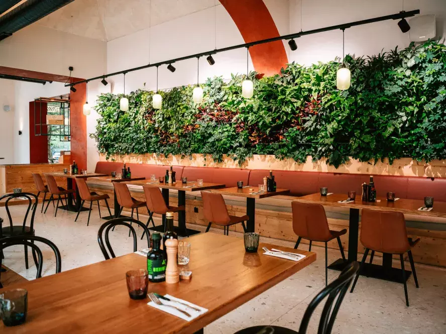 akustika restaurace akusticka omitka nastrik